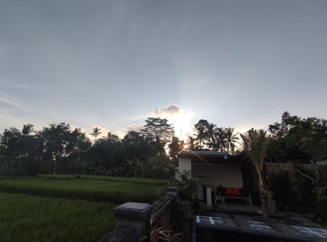Anggarakasih Ubud Villa Luaran gambar